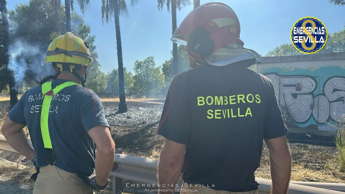 Otro incendio en la Cartuja, el tercero en siete días
