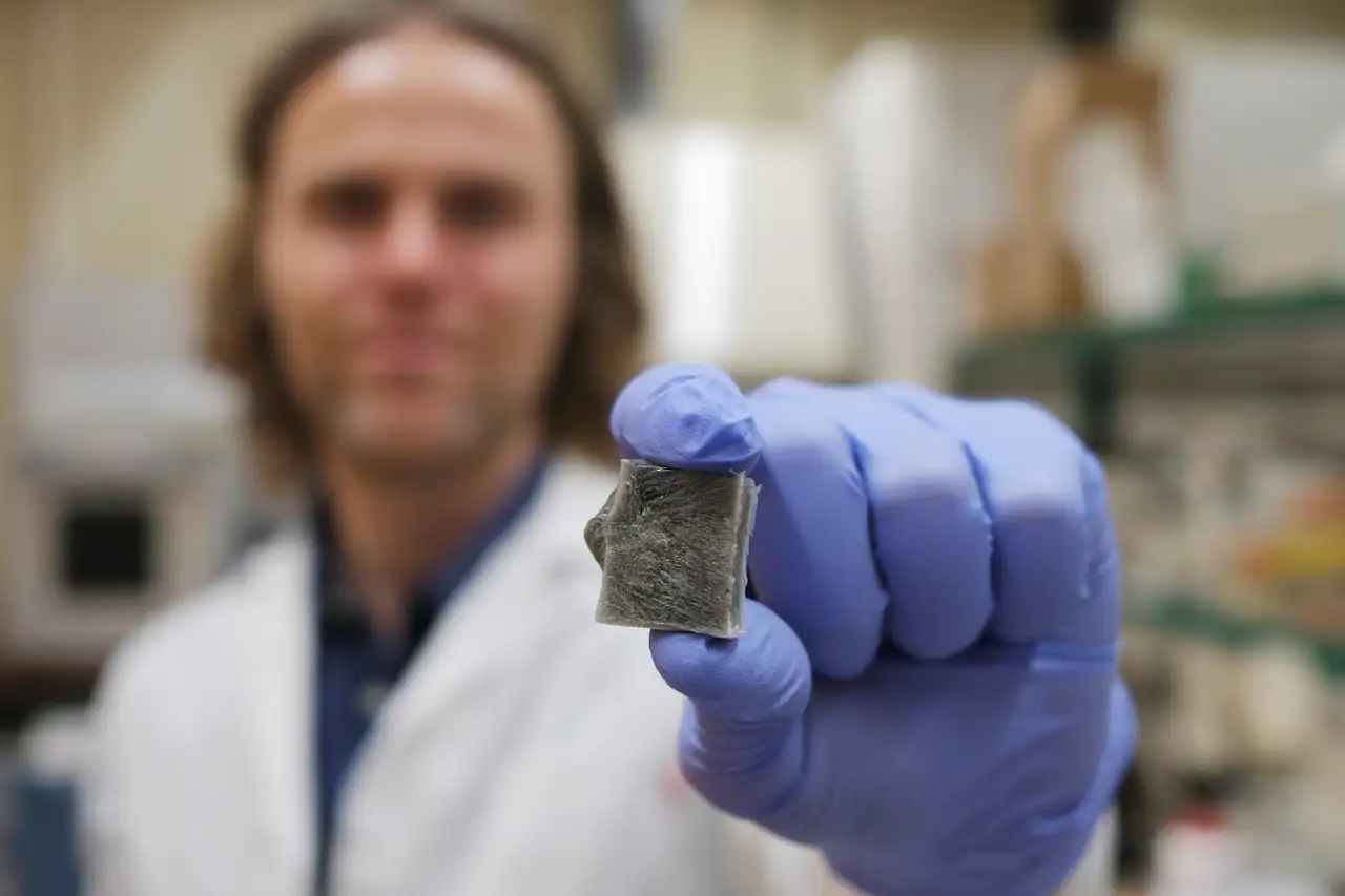Un material innovador de algas marinas que revoluciona la construcción y la prevención de incendios