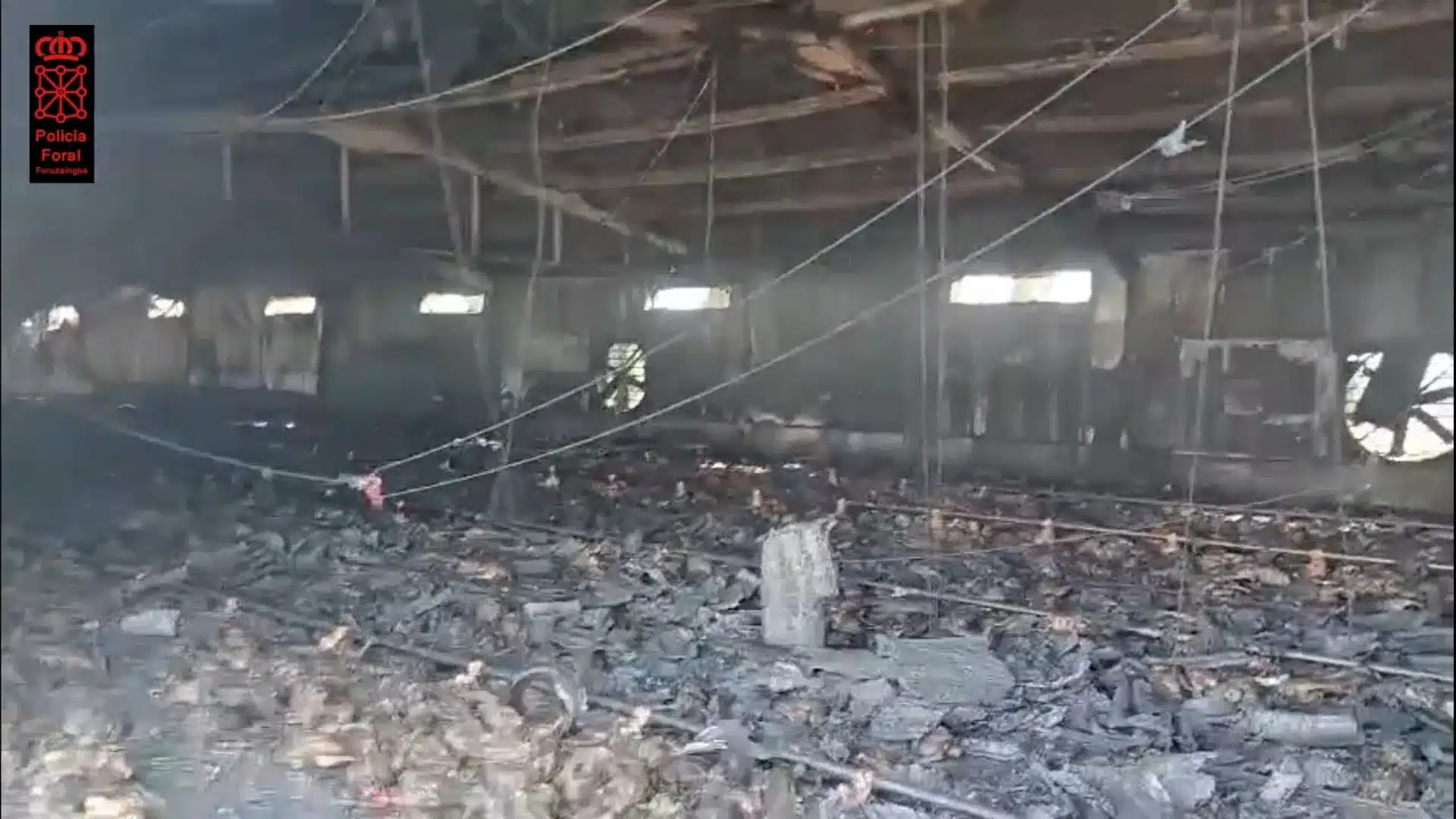 Incendio en una explotación avícola de Villafranca deja más de 10.000 pollos muertos