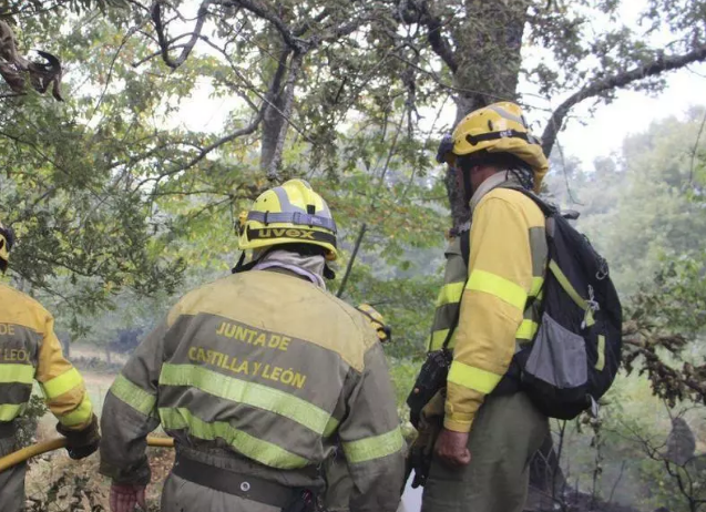 Alarma en Aliste: controlado a primera hora de la tarde un incendio forestal provocado. El fuego de Palazuelo de las Cuevas